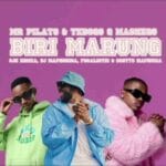 Mr Pilato, Ego Slimflow & Tebogo G Mashego – Biri Marung Ft. Sje Konka, Focalistic, DJ Maphorisa, Scotts Maphuma & CowBoii